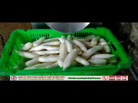 Máy rửa củ cải trắng