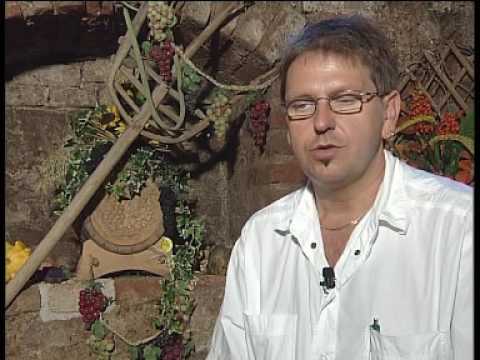 HT1 Neumarkt - brauwirtshaus neumarkt Firma Brauwirtshaus von Ritterbräu Werbung 2003