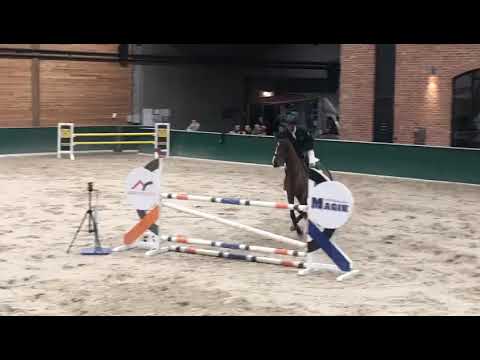 Tracja (Spartacus x Triple) 2020/10/10 ZR Salio - 120 cm 1st place I SPRZEDANA/SOLD