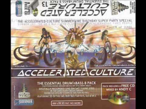 Dj Hype Accelerated Culture 2003