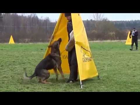 Grauenfeld Prago "Soke" IPO1 C