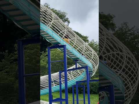 こども学科 #亀山公園