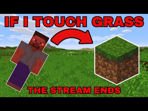 Insane Minecraft Challenge: Can't Touch Grass or Fail!