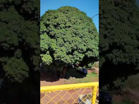 VALPARAISO DE GOIÁS