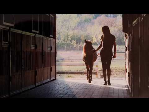 "Wildfire"- Michael Martin Murphey