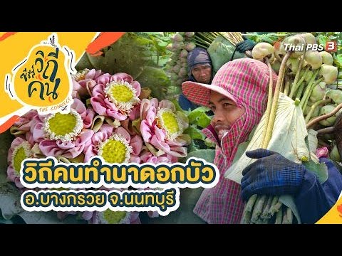 ซี้ รี ย์ ญี่ปุ่น พากย์ไทย