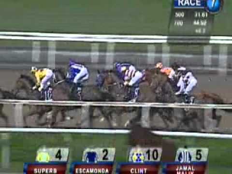 Proinn Construct Stakes (G3).wmv