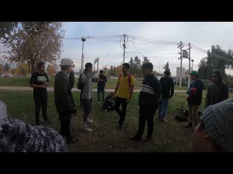 FILTROS FRIJOLITO VS VINCENT VS LUMINUS VS V M