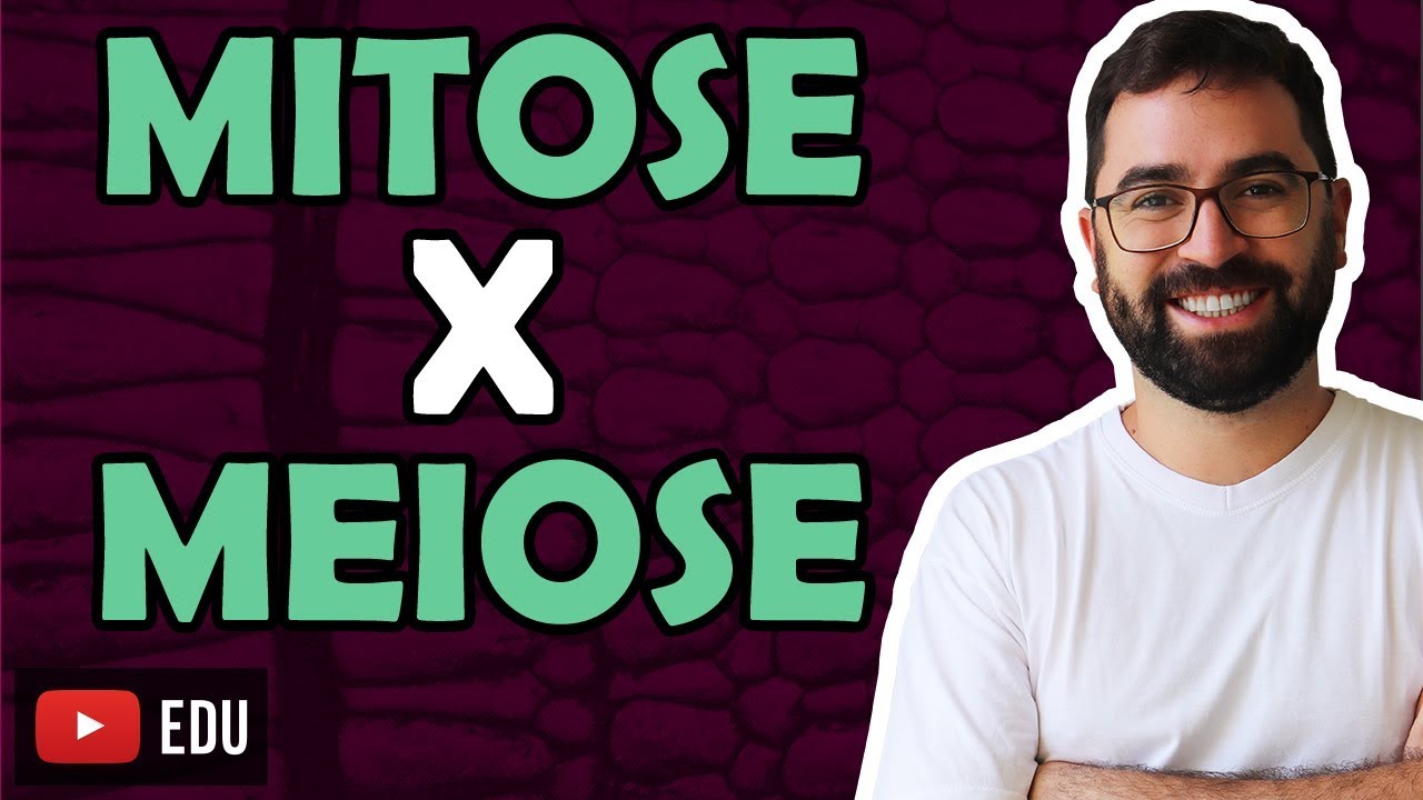 Mitose e Meiose: Comparação - Aula 34 - Módulo I: Biologia Celular | Prof. Gui