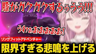 【リングフィットアドベンチャー】きつすぎるボス戦に限界すぎる悲鳴を上げる琴音【にじさんじ】