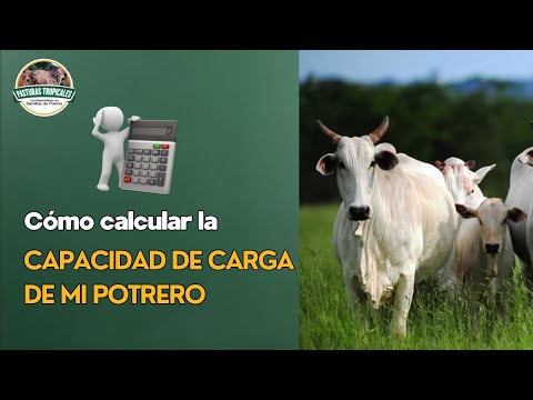 , title : 'Cómo calcular la capacidad de carga de mi potrero #ganaderiacolombiana #ganaderoscolombia'