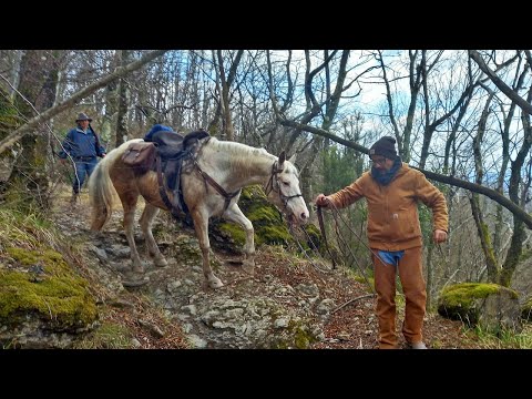 ESPLORIAMO I SENTIERI TRA CALICE AL CORNOVIGLIO E SANTA MARIA