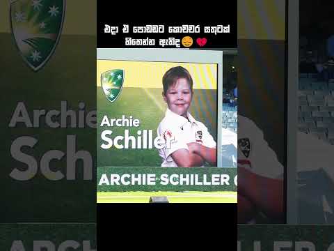 ඔසී උන්ට respect 🫡💗#cricketshorts #shortsfeed #ytshorts