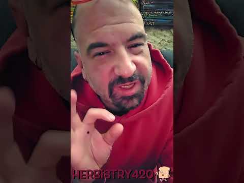 2 Bowls: HyperDyn Gordito Bubbler Combo For Science