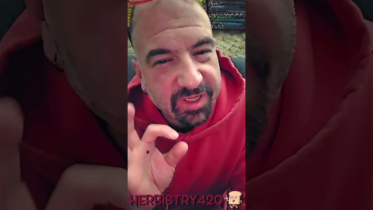 2 Bowls: HyperDyn Gordito Bubbler Combo For Science