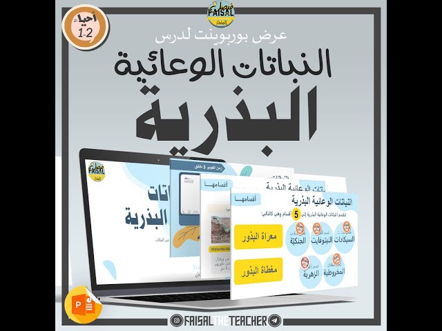 عرض لدرس النباتات الوعائية البذرية