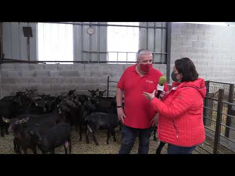Jorge Castillo, veterinario y gerente de ACRIMUR / El Campo de Asturias