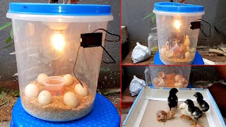 BEST EGG INCUBATOR | SMALL 6 EGG INCUBATOR | MINI INCUBATOR FOR CHICKEN EGGS