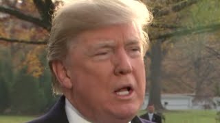 Trump: "I feel badly for General Flynn"