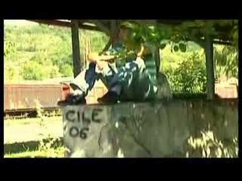 Nuki Dolicanin (ex Nervozni Postar) - Voz Za Srecu