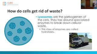Introduction to Cell Biology: Genetics and Waste Disposal System (Rallying 2025)
