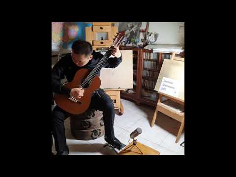 Deutscher Gitarrenpreis 2020 - Yifei Pei