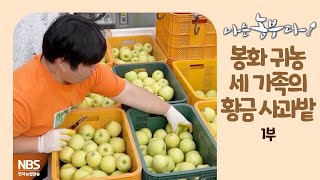 [나는농부다 220회 1부] 봉화 귀농 세 가족의 황금 사과밭