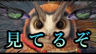 【en児】＜●＞＜●＞気づかれないとでも思ったか???【MHR/モンハンライズ】