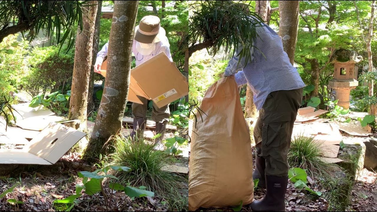 【和庭の防草対策】和庭にダンボールを敷いてみた！試せることは何でもやってみる。