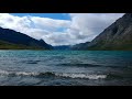 Sounds Of Nature — Dolphins Delight