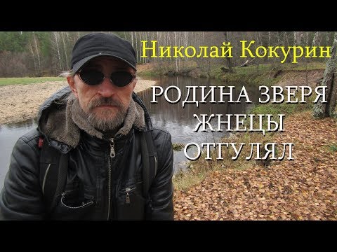 Николай Кокурин - Родина Зверя/Жнецы/Отгулял