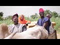 Funny Hausa Video Nabraska And Daushe Speaking Kanuri