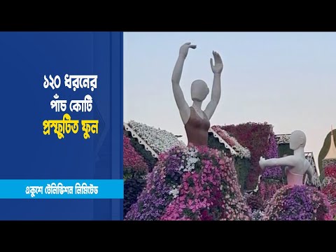 মরুর বুকে স্বর্গের বাগান