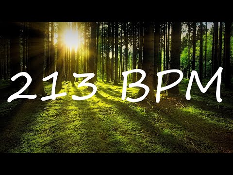 213 BPM Claves Metronome