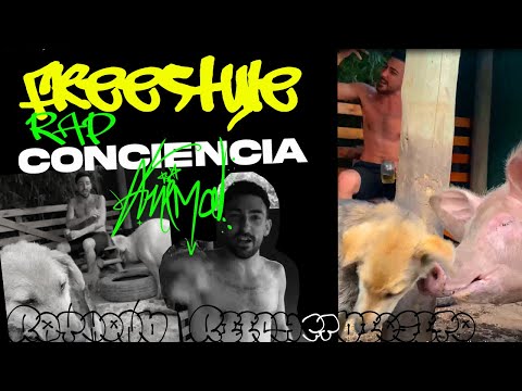 Rap conciencia - Freestyle impro | RAYMOND RIICH ft. DIOSITO (X Liberación ANIMAL)