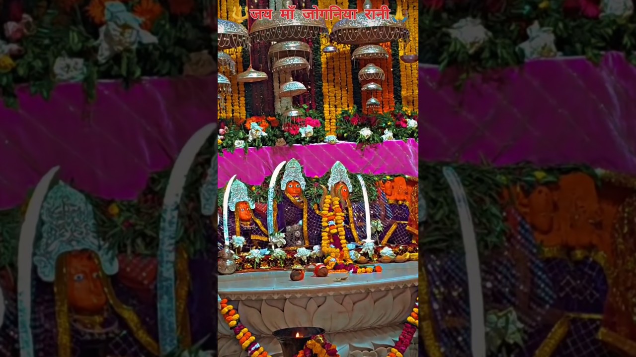 🙏जय मां 🙏जोगनिया 🙏माताजी🥀jay joganiya #trending #short #shorts #subscribe #like mataji#joganiyamata