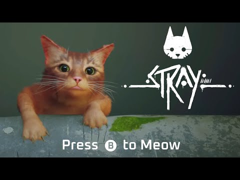 The Game Where You Play As A Stray Cat
