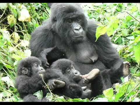 comment ouvrir les yeux sur une photo