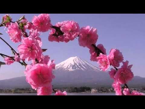 Satin Sheets - Shawn Colvin