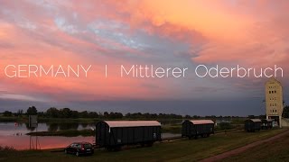 Germany I Mittlerer Oderbruch I Relaxing Impressions