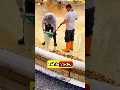 Proč to turisté dělají?😈