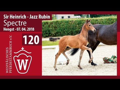 120 Spectre HF v. Sir Heinrich - Jazz Rubin