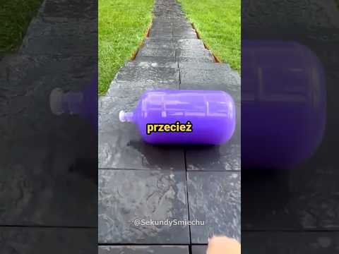 Najdziwniejszy sen świata 💤🐔 #śmiech #śmieszne #żarty #satisfying #storytime