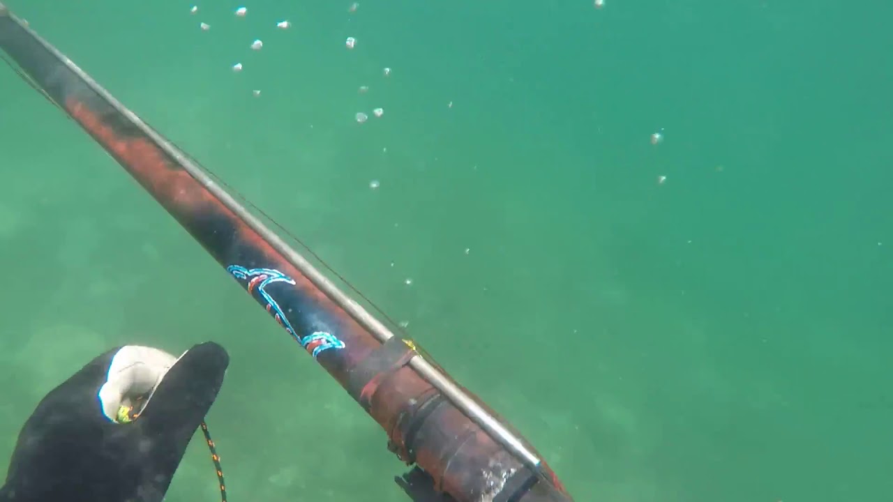 pesca sub linde como cargar fusil de aire seac sub hunter cámara gopro black 5