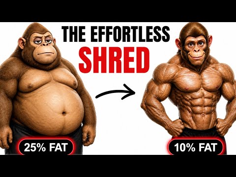 How To GET SHREDDED Effortlessly | Explained By Mighty Monkey