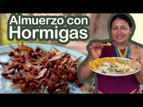 ¿ Se comen las HORMIGAS ? | Receta para principiantes