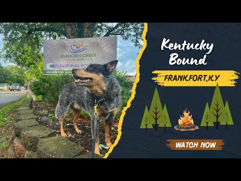 Elkhorn Creek RV Park in Frankfort, KY 