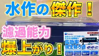 【濾過能力UP！】これは凄い！水作の傑作！水作エイトブリッジで濾過能力を大幅アップ！