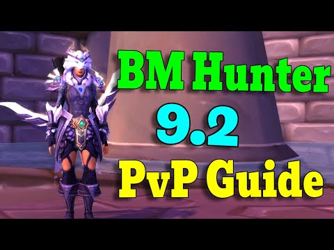 Beast Mastery Hunter PvP Guide / Shadowlands 9.2.5 - ALL in ONE