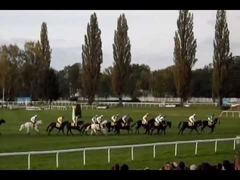 Velká pardubická 2012 v pořadí 122.